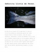 Señorita Lluvia de Peces
