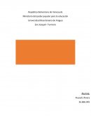 ESTUDIO DE CASO SOBRE REALIDAD VENEZOLANA