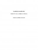 Perspectiva de la pobreza en México