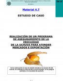 Caso de estudio FAO