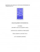 Técnicas de cromatografia liquida de alta resolucion
