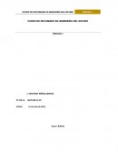 Análisis de la problemática de drogadicción en los jóvenes