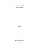 Tarea 2.2 Caso Mattel