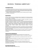 PROBLEMAS AMBIENTALES