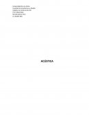 Ensayo Acustica para Arquitectos