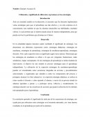 Utilización y significado de diferentes expresiones en las estrategias