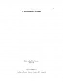 La visión humana sobre los animales