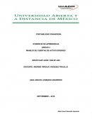 MANEJO DE CUENTAS DE ACTIVO DIFERIDO