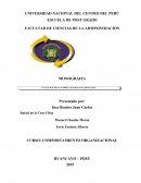 MODELO CONCEPTUAL CULTURA ORGANIZACIONAL