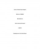 Tercer avance Mercadotecnia