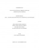 PLANIFICACIÓN ESTRATÉGICA DE LA GESTIÓN DEL TALENTO HUMANO