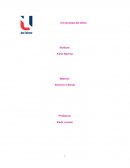 Actividad Investigación manejo de la documentación de viaje