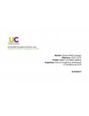 Etica en el ejercicio profesional