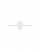 Prevención de riesgos en sector minería, construcción y manufactura