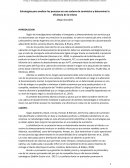 Estrategias para analizar los procesos en una cadena de suministro y determinar la eficiencia de la misma