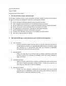 Preguntas Serie Casa de Papel