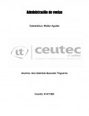 Administracion de venta Forrest Bike World