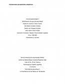 Actividad de aprendizaje 2 La Importancia de las Redes de Transportes