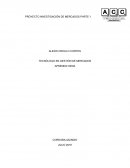 INVESTIGACION DE MERCADOS computadoras