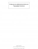 Investigacion social