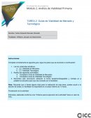 Guías de Viabilidad de Mercado y Tecnológica