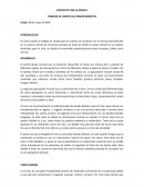 CONTACTO CON LA MÚSICA