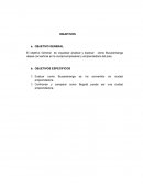 Bucaramanga ciudad emprendedora