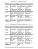 Evaluación de lectura complementaria: “Súper zorro”