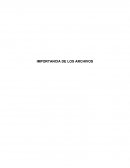 Importancia de los archivos