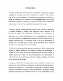 Derechos de los menores en el proceso penal