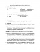 PLAN DE TRABAJO AÑO NUEVO ANDINO REGIONAL 2019