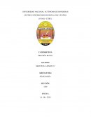 SOCIOLOGÍA. REFLEXIONES