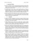 Triangulación. Topografía