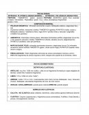 Presion Densidades y demás