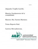 Reporte final contabilidad ula