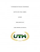 Experiencia compras en linea