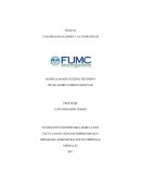 Las organizaciones y la comunidad