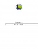 Entrevista empresa Isla del marisco