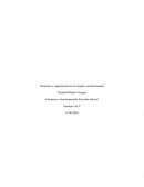 Estructura y organización de los órganos jurisdiccionales