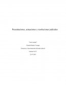 Presentaciones actuaciones y resoluciones judiciales