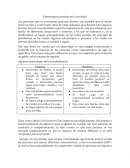 Estereotipos juveniles en la sociedad