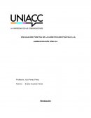 Vinculacion positiva de la constitución política a la administración publica