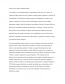 Ensayo de las políticas organizacionales