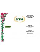 Tarea 8 de historia del derecho hondureño