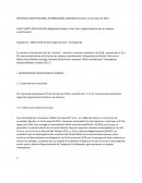 Sentencia Constitucional empresa “Multi Internacional” S.R.L