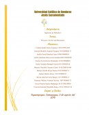 Caso Ser-Art and Decoration