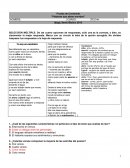 Prueba de Contenido "Palabras que abren mundos"