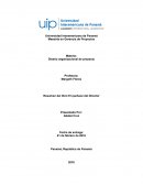 Resumen del libro El quehace del Director