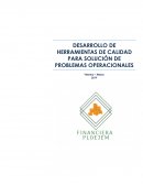 Proyecto financiero de calidad