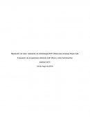 Aplicación de metodología AHP Difuso para empresa Rojos Ltda